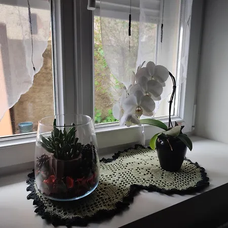 Séjour chez l'habitant Chez Dori Privee