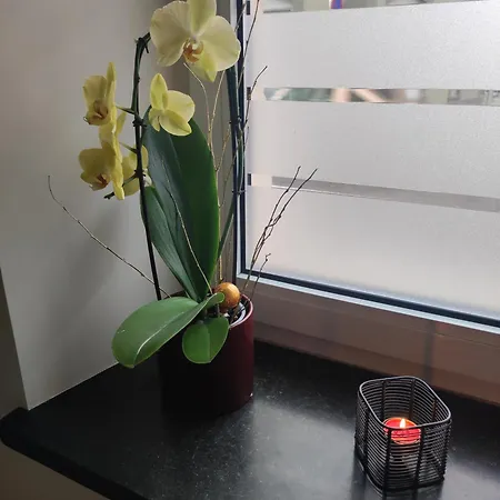 Chez Dori Privee Homestay Bischheim