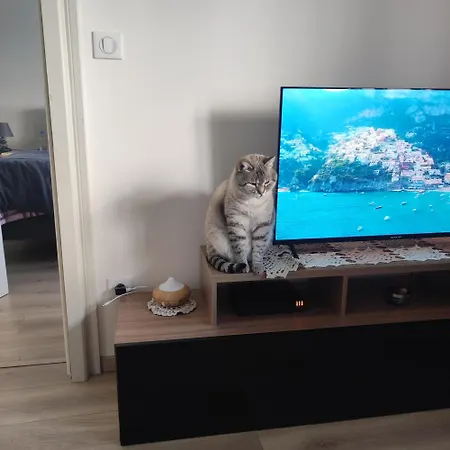 Privat bolig Chez Dori Des Amis Dans Partage *