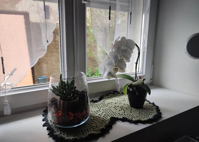 Homestay Chez Dori Privee