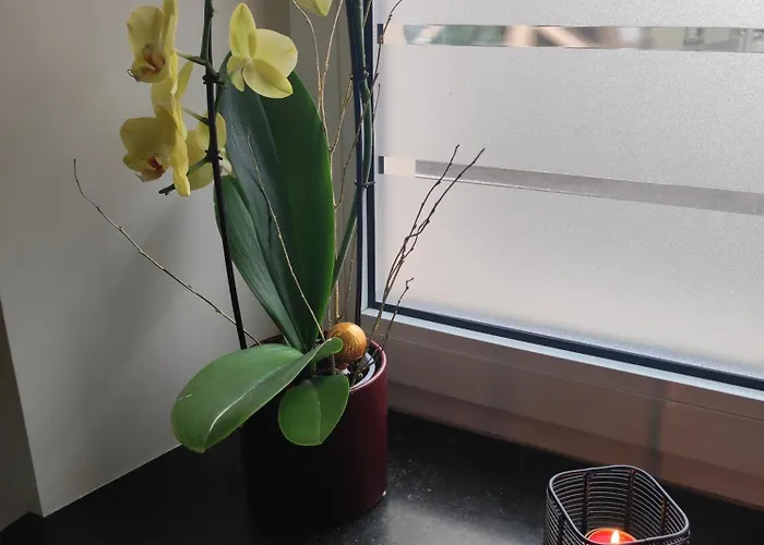 Chez Dori Privee Homestay Bischheim