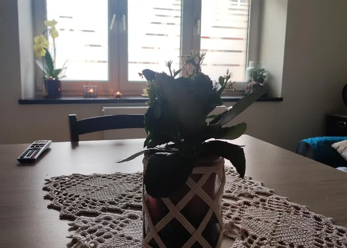 Homestay Chez Dori Privee *